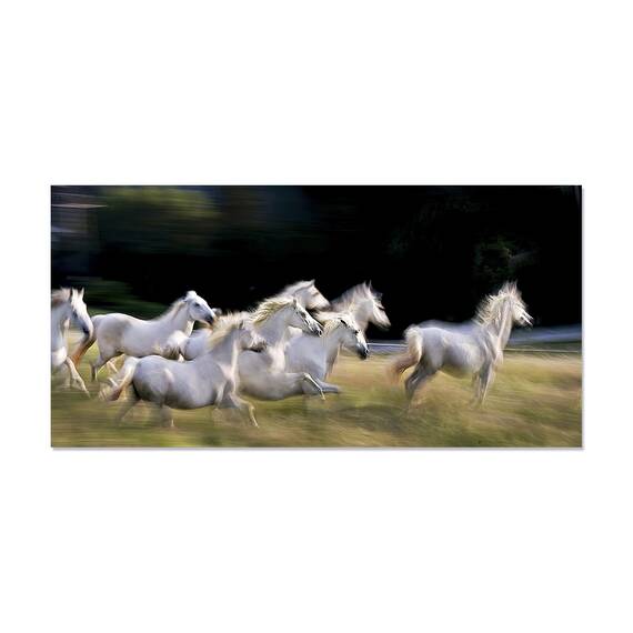 Tablou Canvas - Zece, Panorama, Galop, Cal, Reflectie, Turma, Blur, Marime: 30 x 60 cm - - Roveli