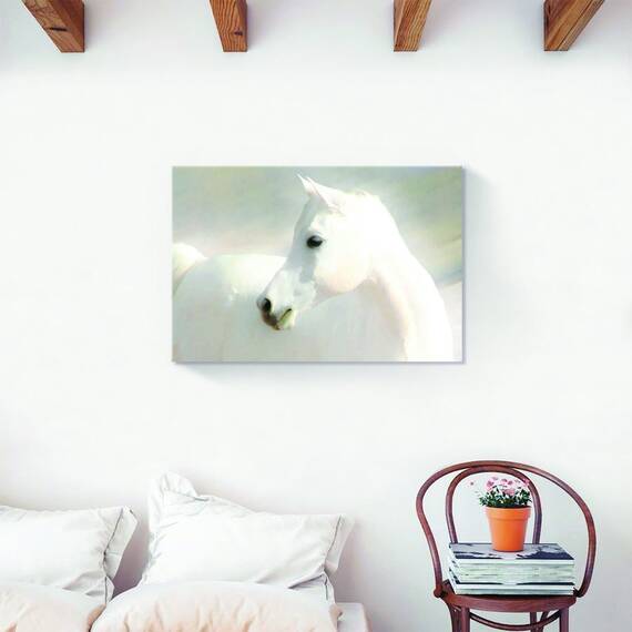 Tablou Canvas - Cal, Alb, Animala, Marime: 60 x 90 cm - 2- Roveli