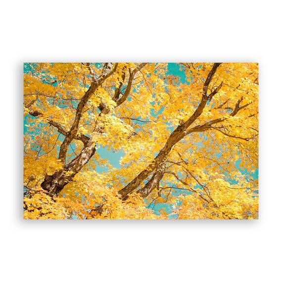 Tablou Canvas - Copac, Floral, Galben, Marime: 60 x 90 cm - - Roveli