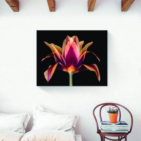 Tablou Canvas - Floare portocaliu, Primavara, Marime: 40 x 50 cm - 2- Roveli