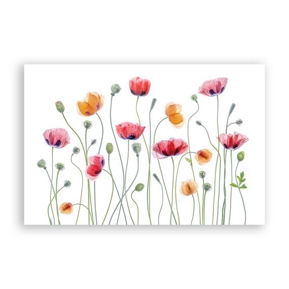Tablou Canvas - Floral, Flori de maci, Pictura, Marime: 60 x 90 cm - - Roveli