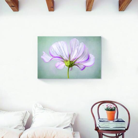 Tablou Canvas - Floral, Flori, Primavara, Pictura, Alb, Marime: 60 x 90 cm - 2- Roveli