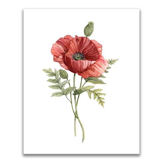 Tablou Canvas - Flori de maci, Floare, Primavara, Rosu, Marime: 40 x 50 cm - - Roveli