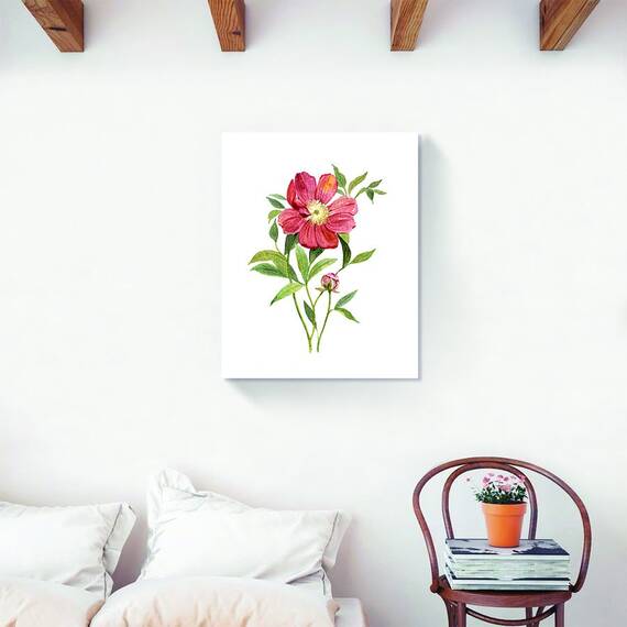 Tablou Canvas - Flori, Floare, Bujor, Primavara, Rosu, Marime: 40 x 50 cm - 2- Roveli