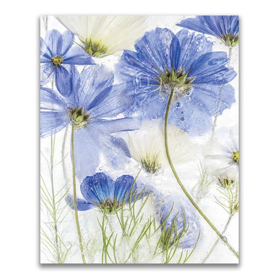 Tablou Canvas - Flori, Floare, Primavara, Albastru, Marime: 40 x 50 cm - - Roveli