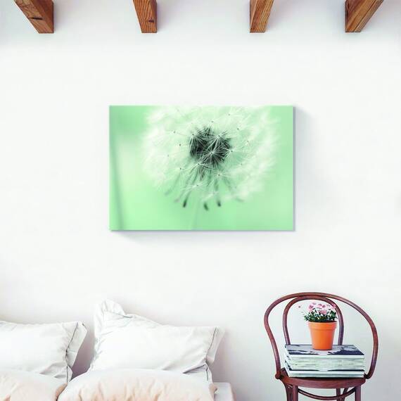 Tablou Canvas - Flori, Papadie, Marime: 60 x 90 cm - 2- Roveli