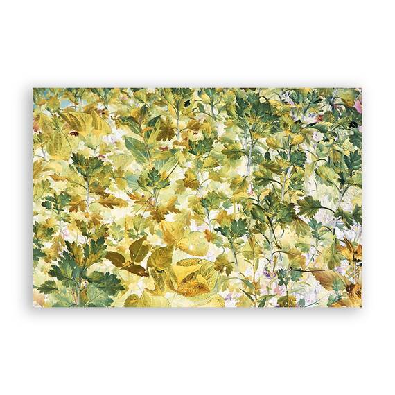 Tablou Canvas - Frunze, Multicolor, Marime: 60 x 90 cm - - Roveli