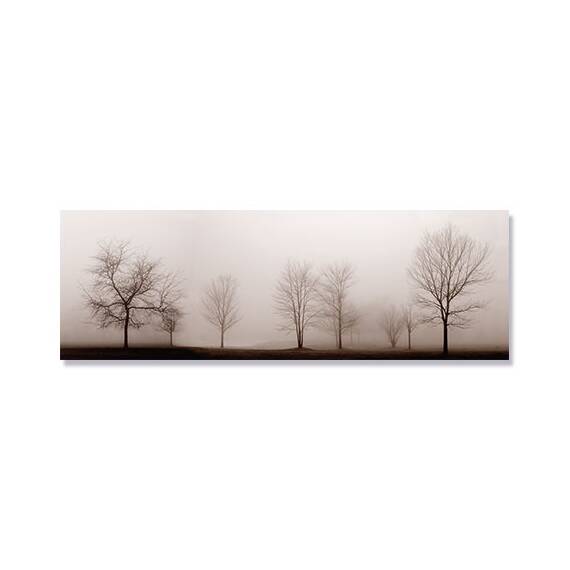 Tablou Canvas - Copaci in Ceata, Toamna Timpurie, Marime: 50 x 150 cm - - Roveli