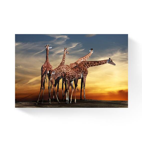 Tablou canvas - Flori, Apus De Soare, Nori, Safari, Marime: 80 x 120 cm - - Roveli