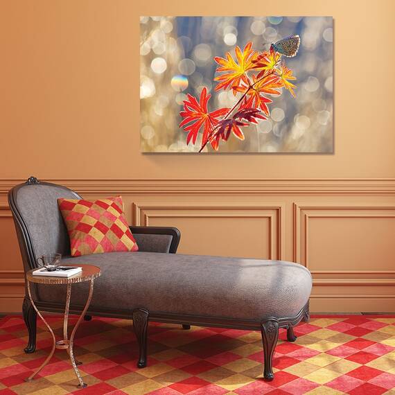 Tablou Canvas - Momente Septembrie, Fluture, Insecta, Rosu, Toamna, 60 x 80 cm - 2- Roveli