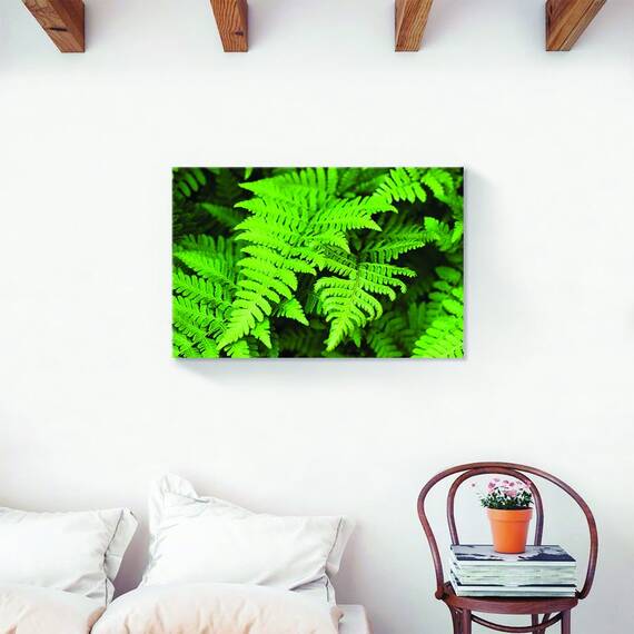 Tablou Canvas - Natura, Frunza, Marime: 60 x 90 cm - 2- Roveli