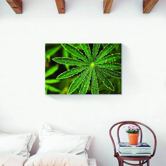 Tablou Canvas - Natura, Frunza, Verde, Marime: 60 x 90 cm - 2- Roveli