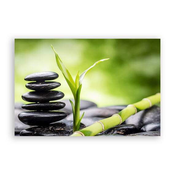 Tablou Canvas - Natura, Frunza, Verde, Pietre, Marime: 40 x 60 cm - - Roveli