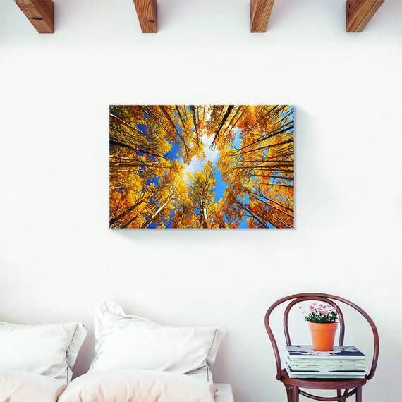 Tablou Canvas - Plopi Inaltand Catre Cer, Marime: 60 x 90 cm - 2- Roveli
