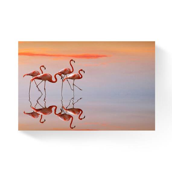 Tablou canvas - Flori, Pasare, Oglinda, Apa, Marime: 80 x 120 cm - - Roveli