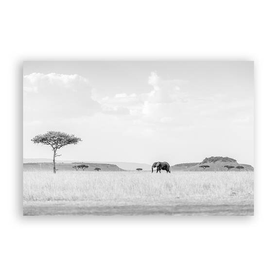 Tablou Canvas - Elefant II, Africa, Natura, Peisaj, Animal, Marime: 60 x 90 cm - - Roveli