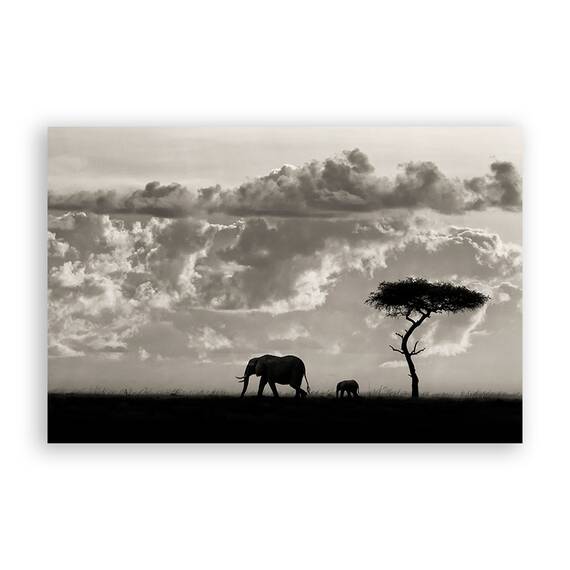Tablou Canvas - Elefant I, Africa, Natura, Peisaj, Animal, Marime: 60 x 90 cm - - Roveli
