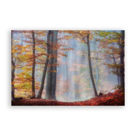 Tablou Canvas - Natura, Peisaj, Toamna, Padure, Frunze, Marime: 60 x 90 cm - - Roveli