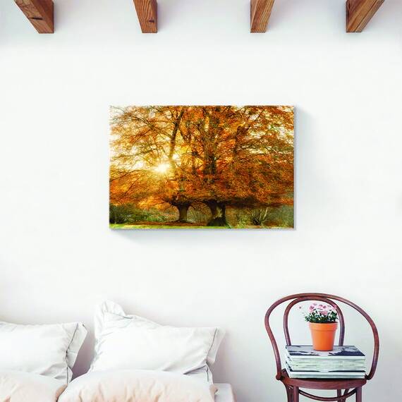 Tablou Canvas - Peisaj, Natura, Padure, Toamna, Marime: 60 x 90 cm - 2- Roveli