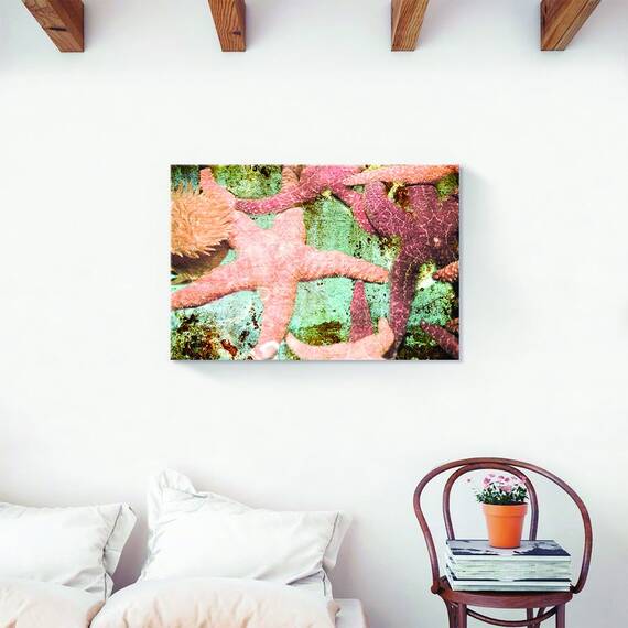 Tablou Canvas - Stea de Mare, Margean, Ocean, Marime: 60 x 90 cm - 2- Roveli