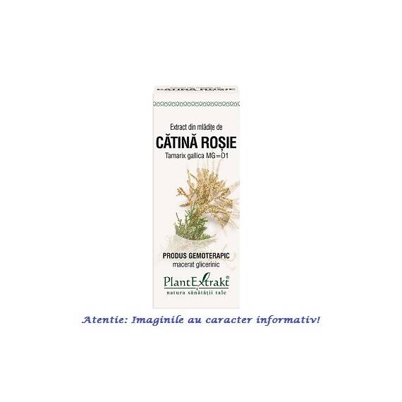 Extract din Mladite de Catina Rosie 50 ml PlantExtrakt - - Roveli