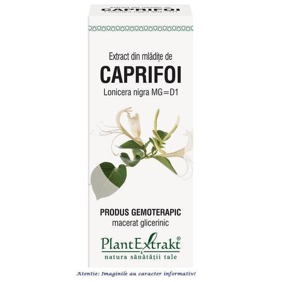 Extract din Mladite de Caprifoi 50 ml PlantExtrakt - - Roveli