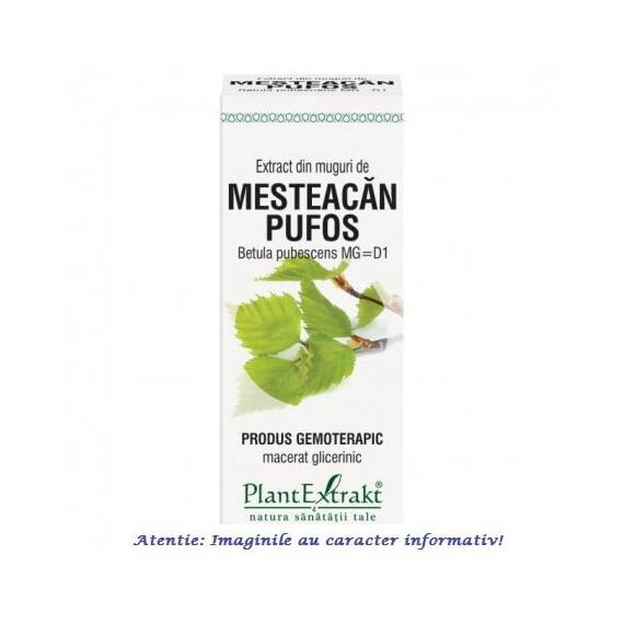 Extract din Muguri de Mesteacan Pufos 50 ml PlantExtrakt - - Roveli