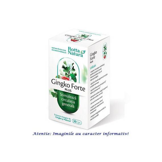 Ginkgo Forte Plus 30 capsule Rotta Natura - - Roveli