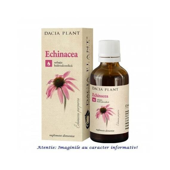 Tinctura de Echinacea 50 ml Dacia Plant - - Roveli