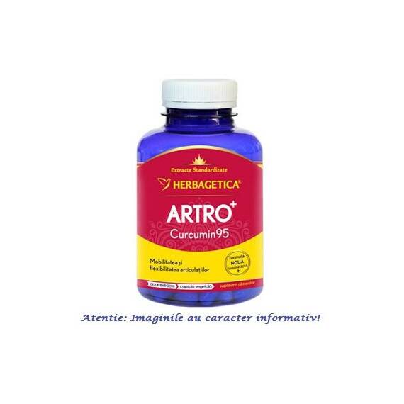 Artro Curcumin 95 120 capsule Herbagetica - - Roveli