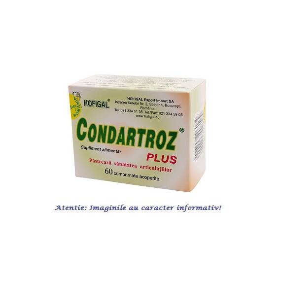 Condartroz Plus 60 comprimate Hofigal - - Roveli