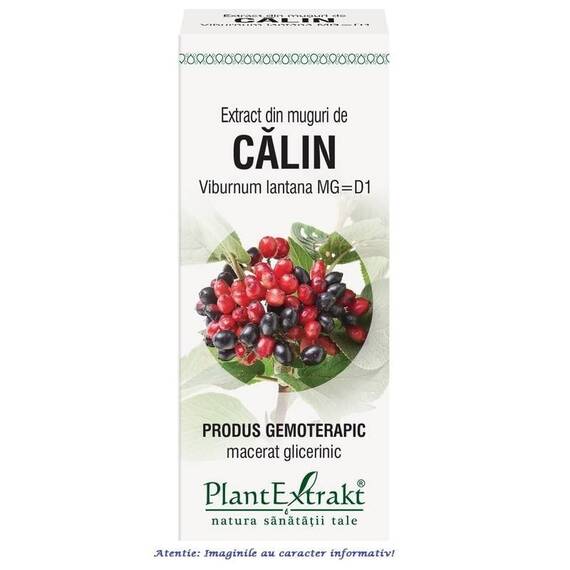 Extract din Muguri de Calin 50 ml PlantExtrakt - - Roveli