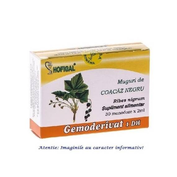 Gemoderivat Muguri de Coacaz Negru 30 monodoze Hofigal - - Roveli