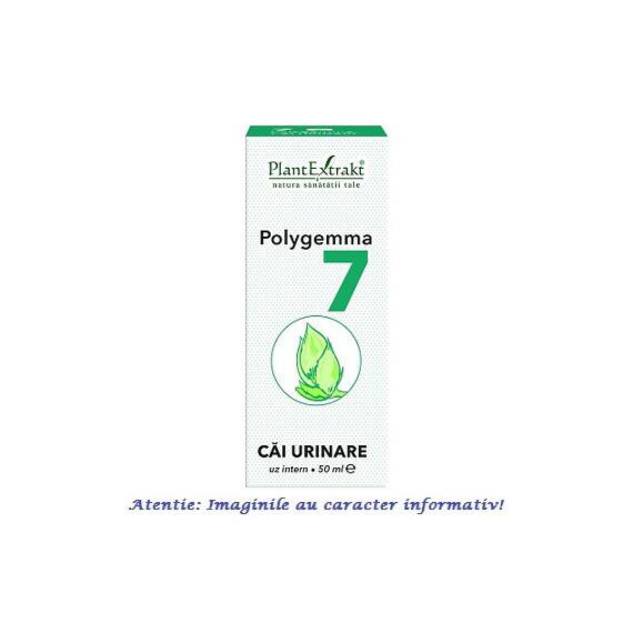 Polygemma 7 Cai Urinare 50 ml PlantExtrakt - - Roveli