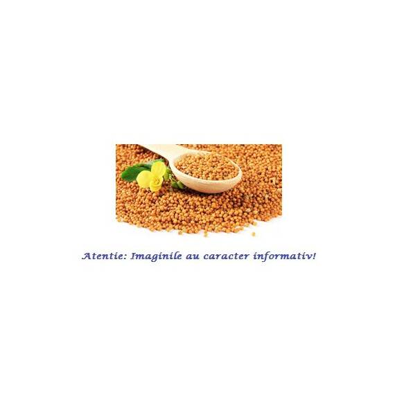 Boabe de Mustar 100 g Phyto Pharm - - Roveli