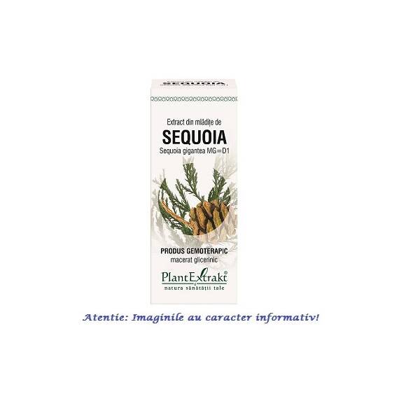 Extract din Mladite de Sequoia 50 ml PlantExtrakt - - Roveli