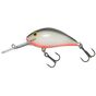 Vobler Salmo Hornet H5F, Varianta (50): Hornet H5F GS - - Roveli